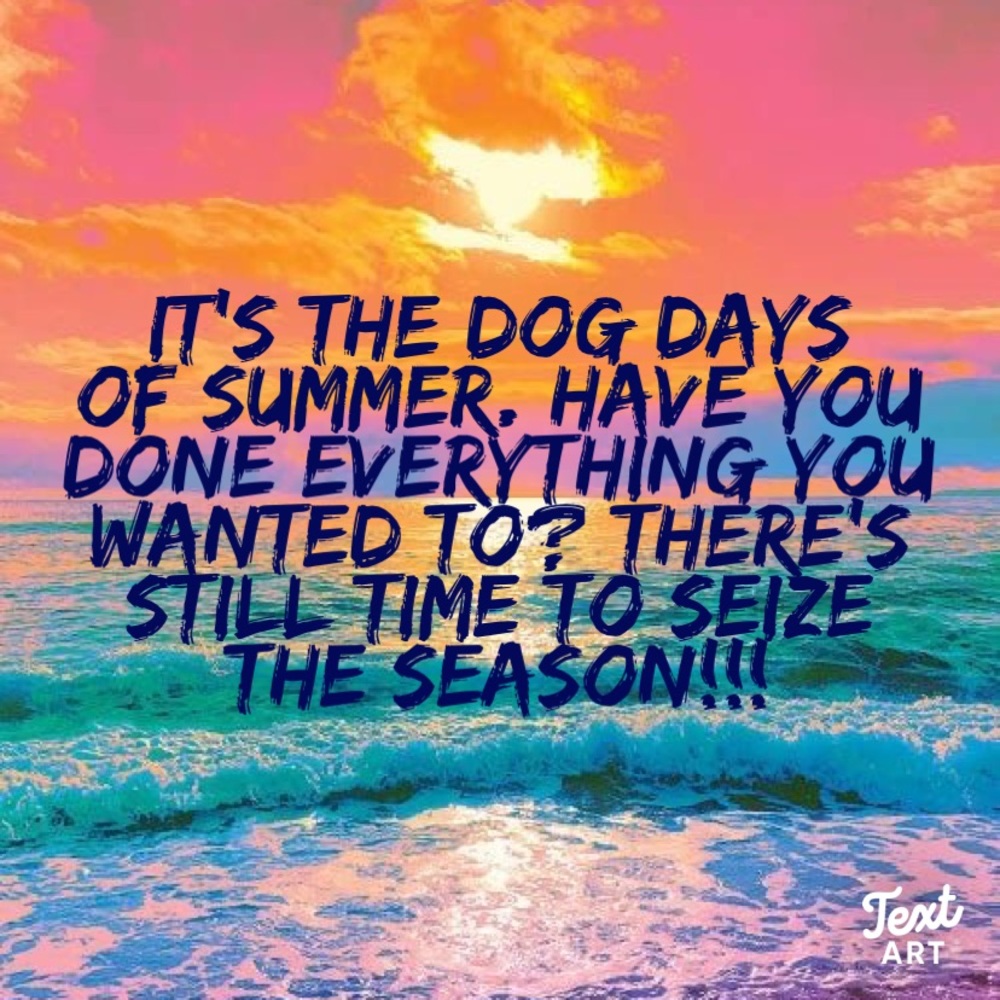 Fun question below answer & follow = shares 😁